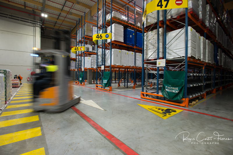 Logidis-3-R.Cintas-Flores