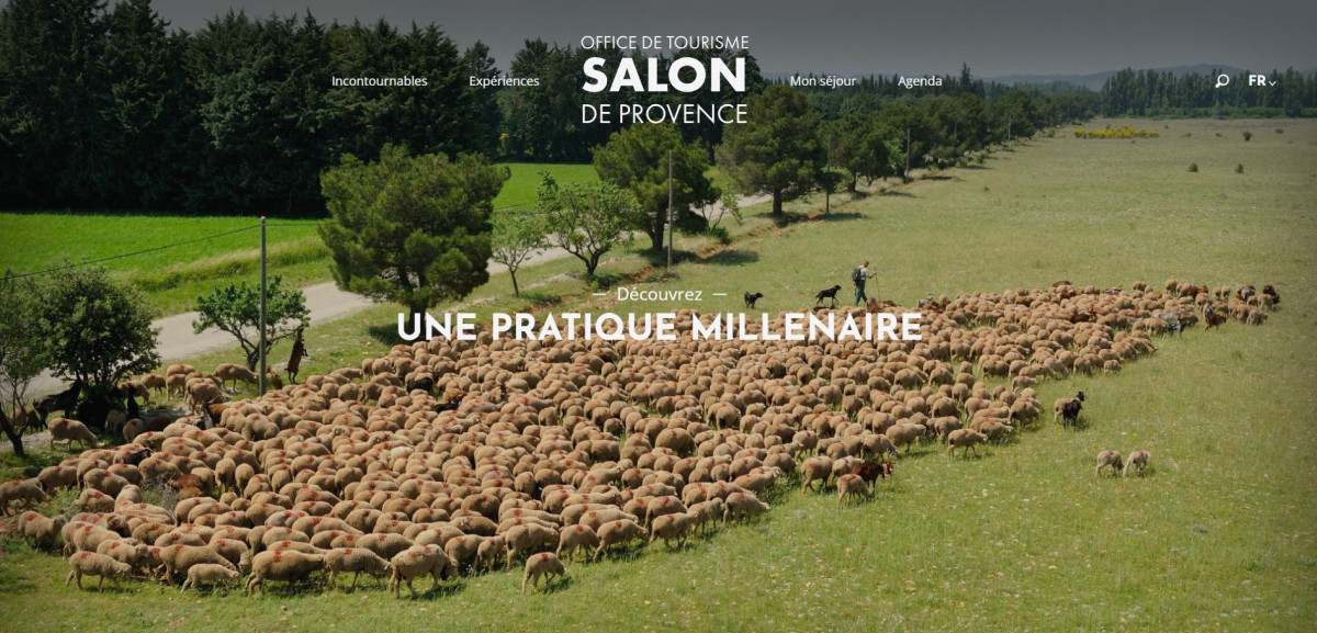 François-Proust-eleveur-moutons-la-Crau