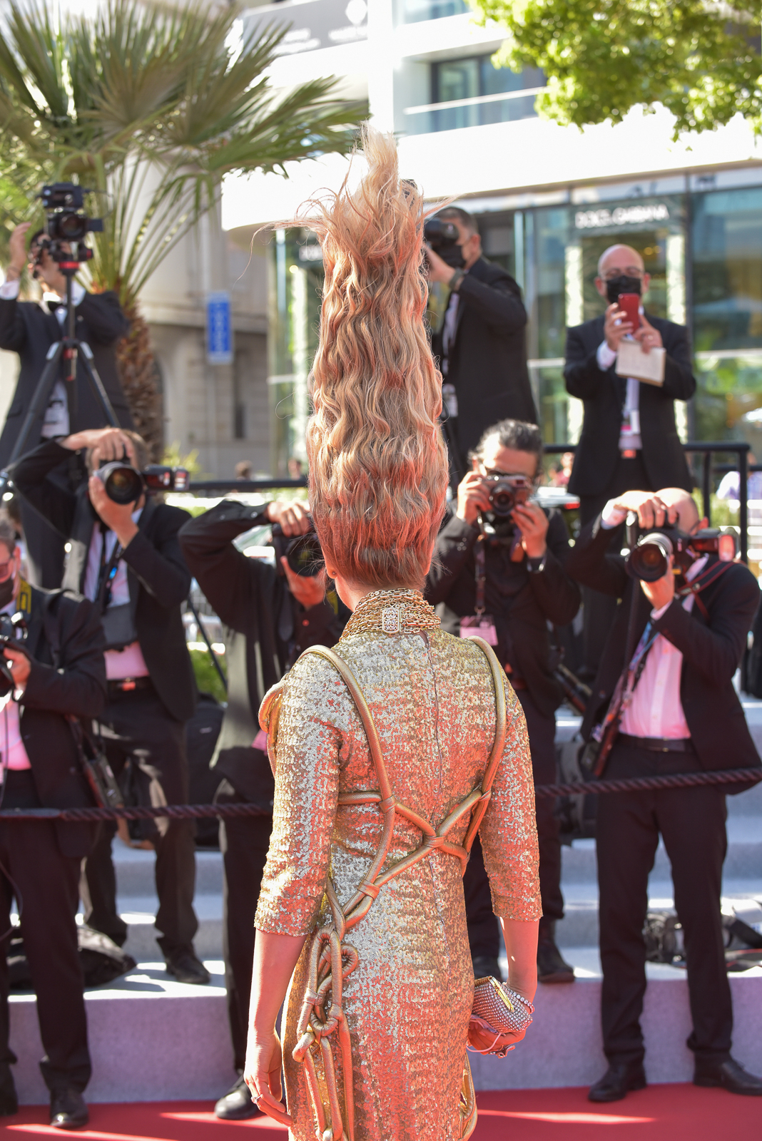 pangolin-2-redcarpet (10)-24.jpg